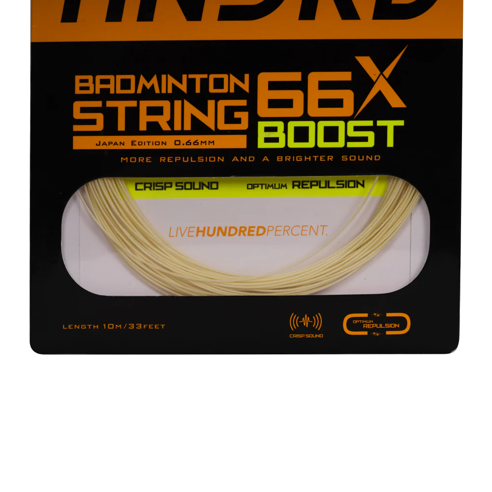 66X Boost - Image 3