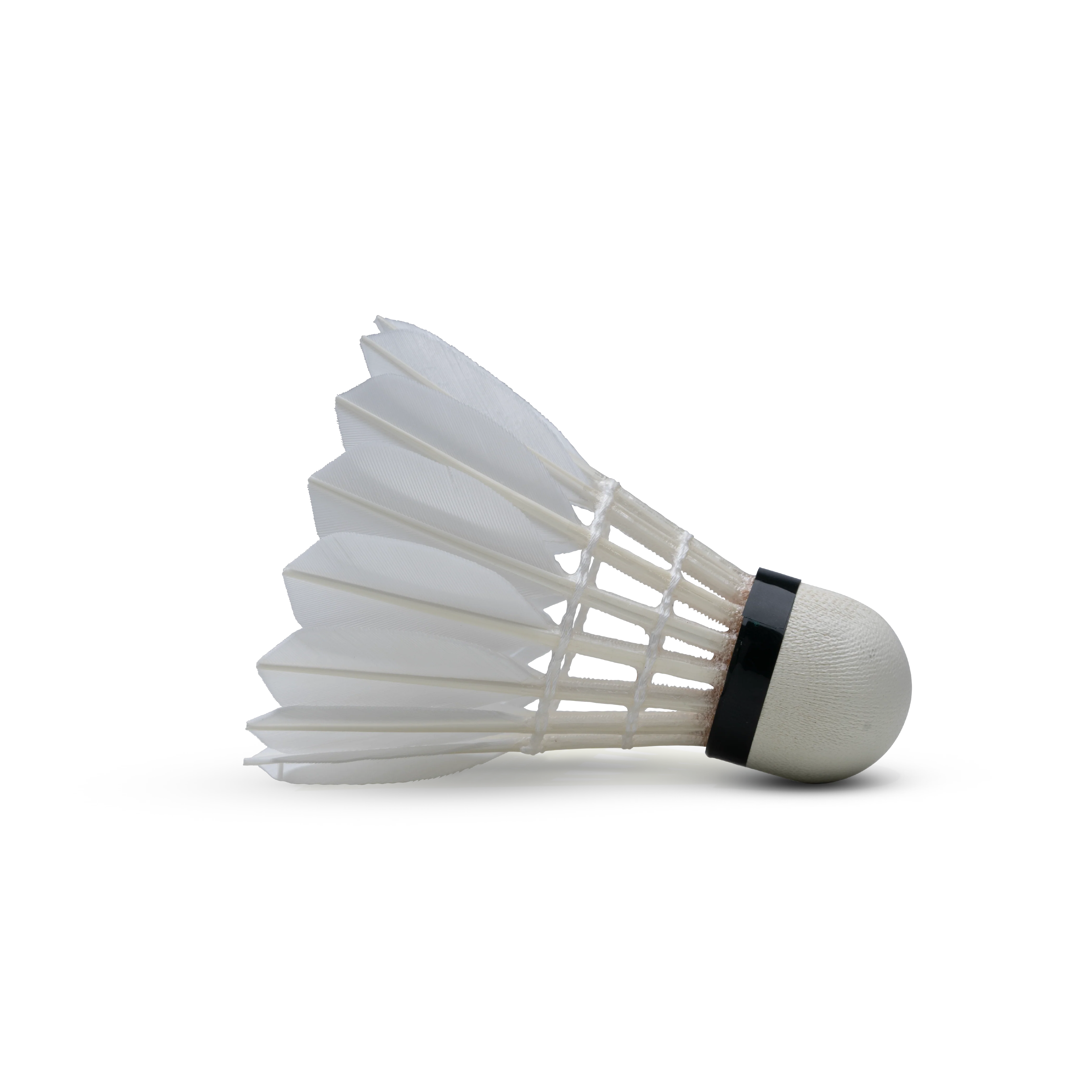 F80 Feather Shuttlecock - Image 3