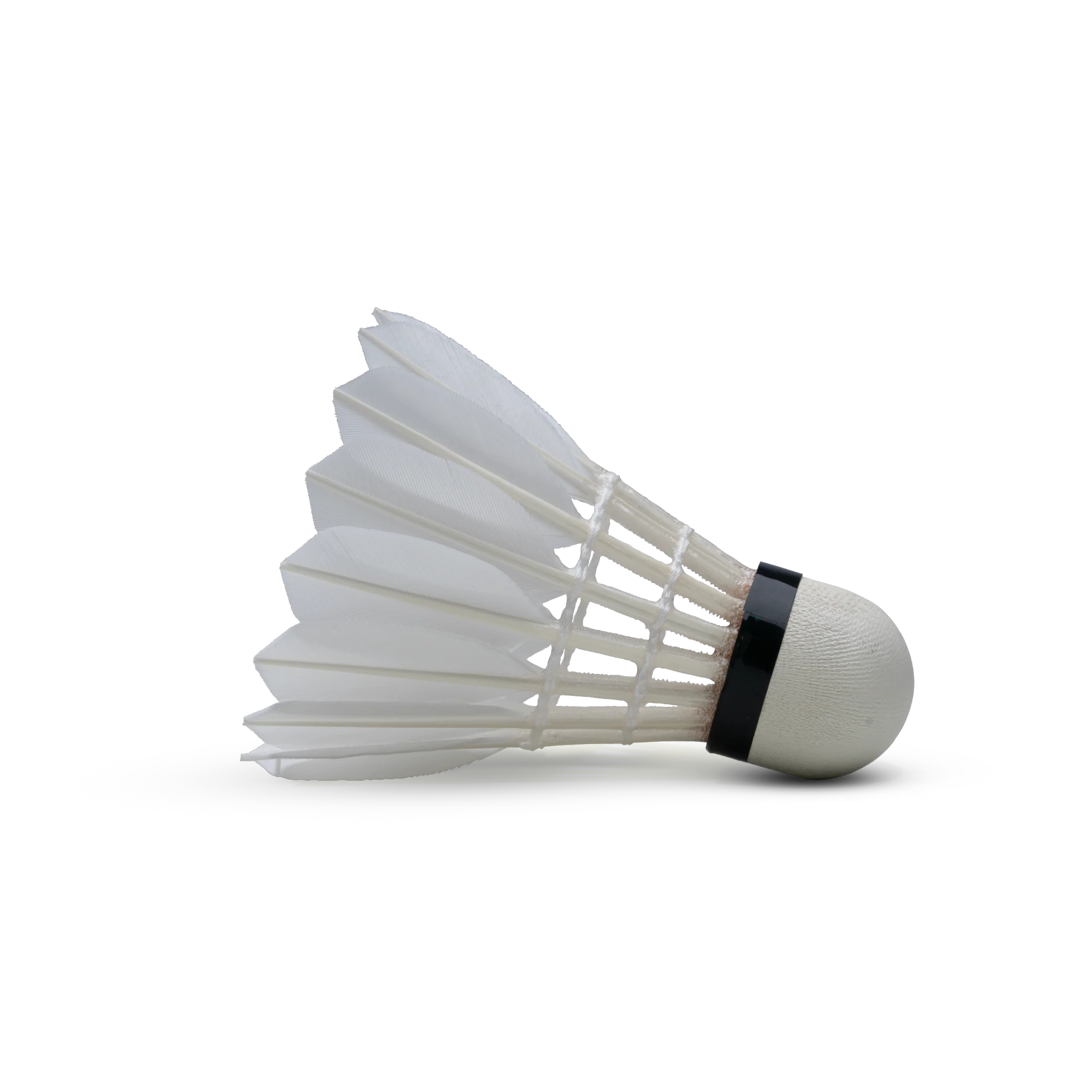 H+100 Feather Shuttlecock - Image 3