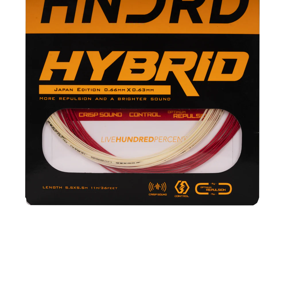 Hybrid - Image 3