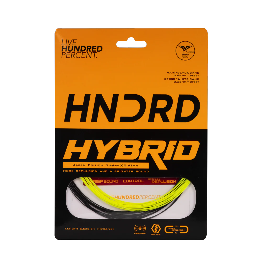 Hybrid - Image 4