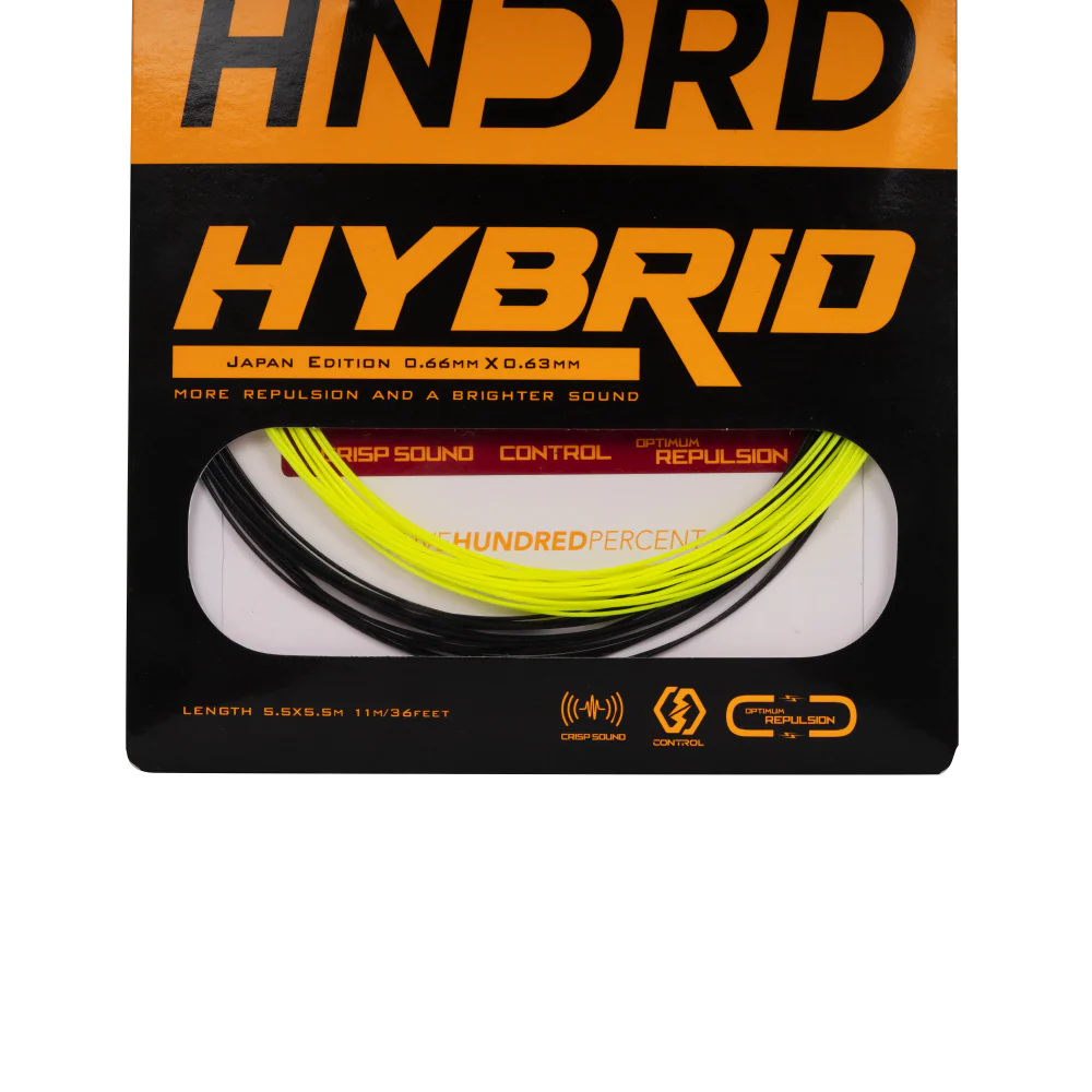 Hybrid - Image 6