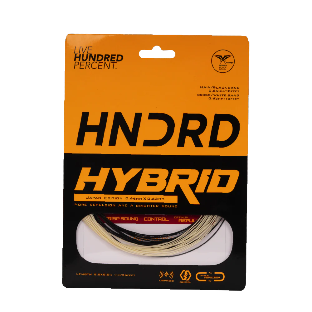 Hybrid - Image 7