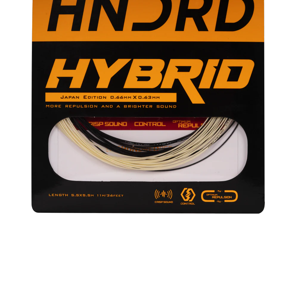 Hybrid - Image 9