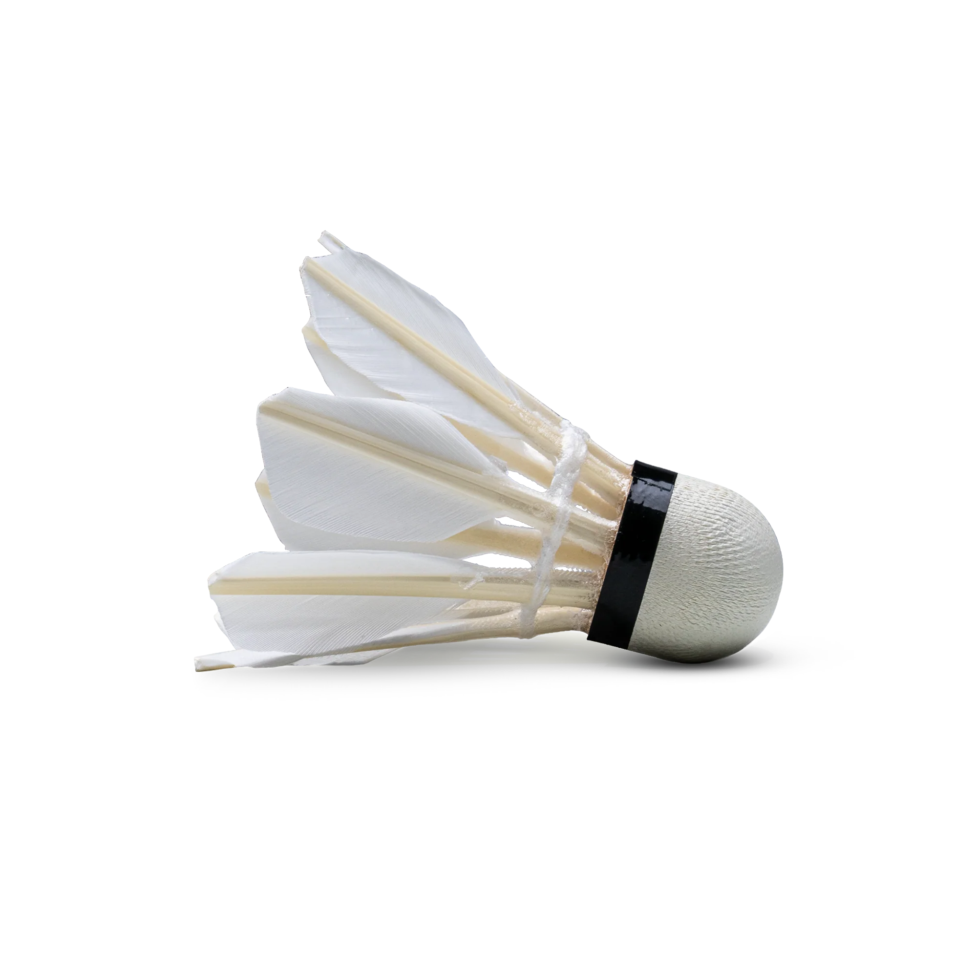 S40 Feather Shuttlecock - Image 3