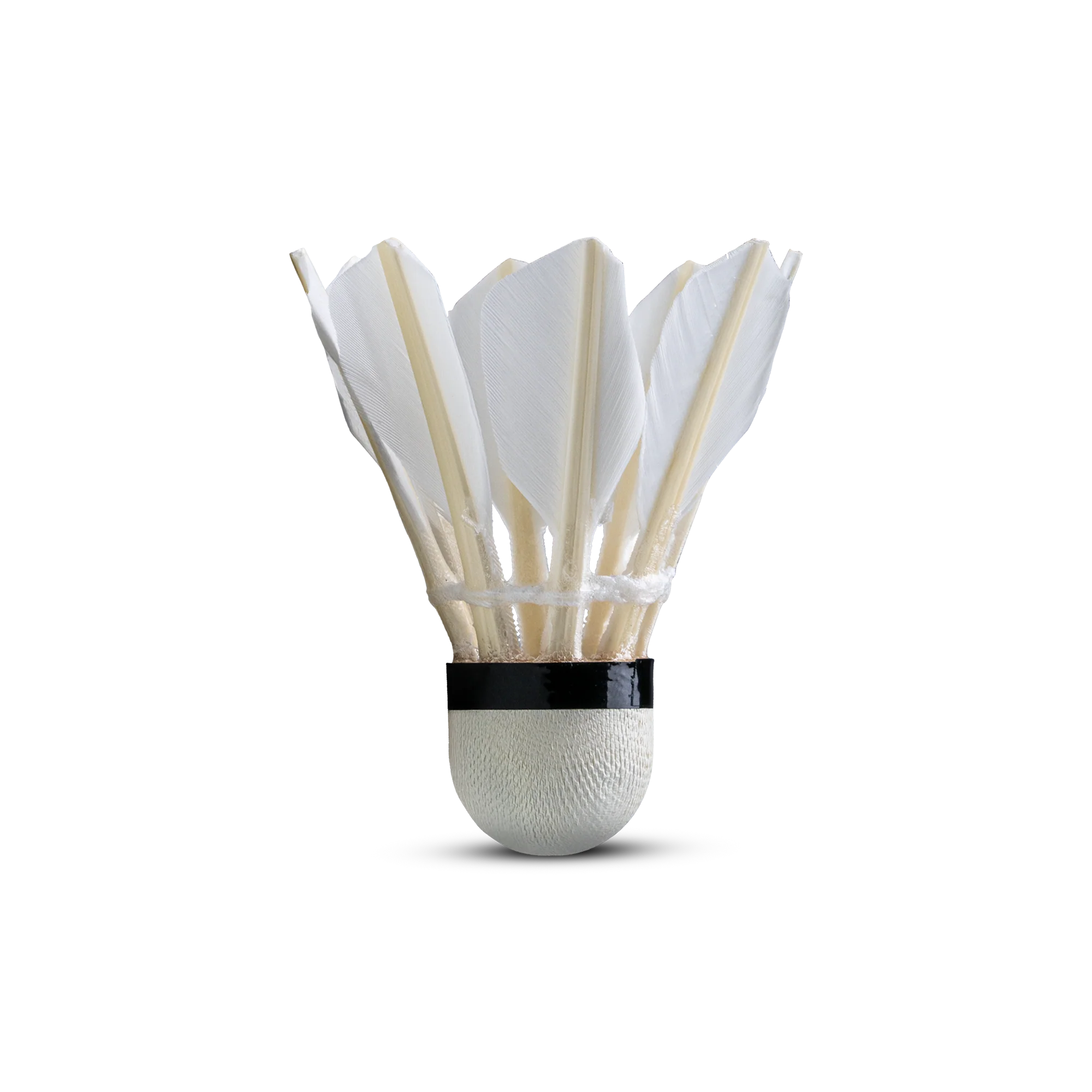 S40 Feather Shuttlecock - Image 4