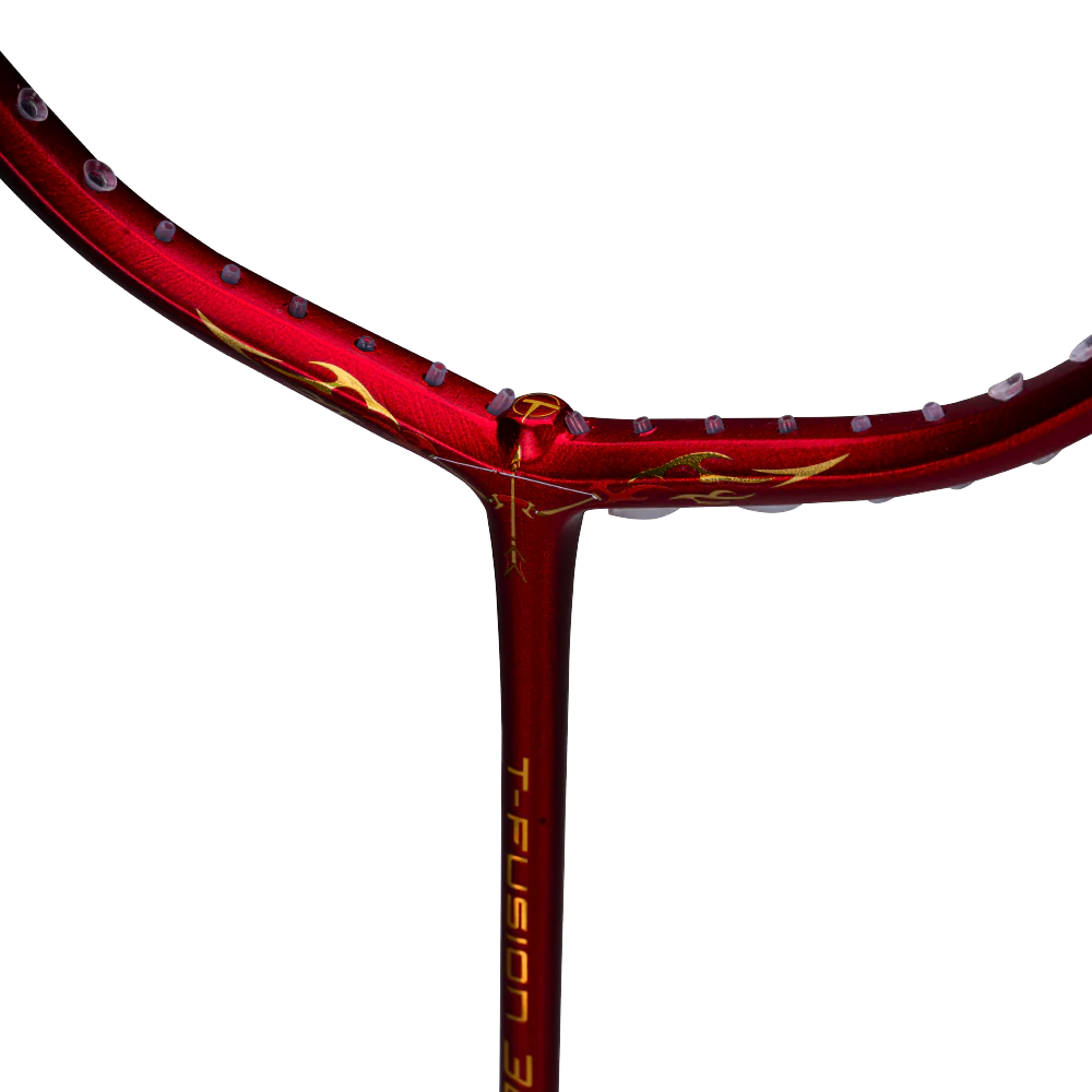 T-Fusion 300- 4U - Image 33