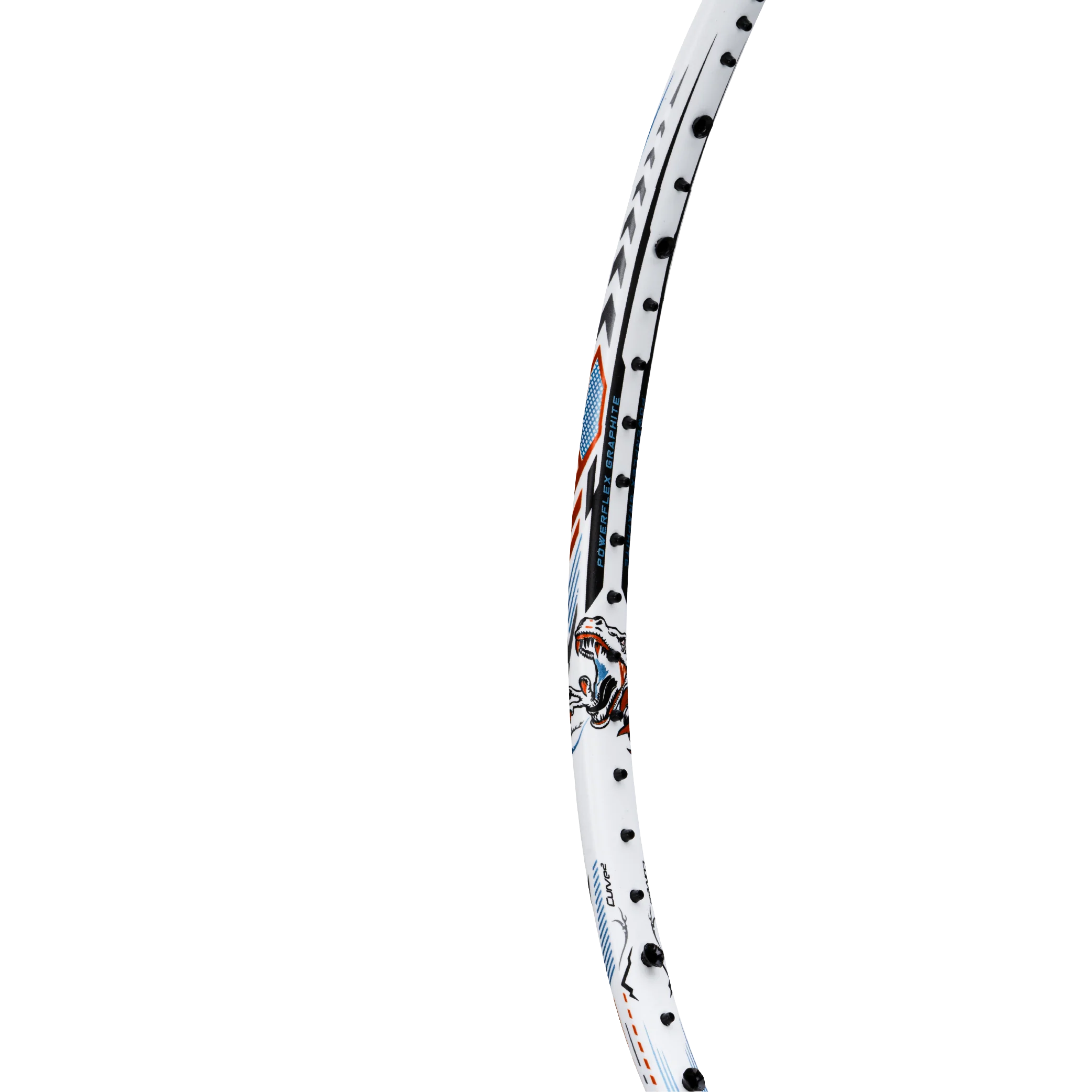 T-Rex 800 - Image 10