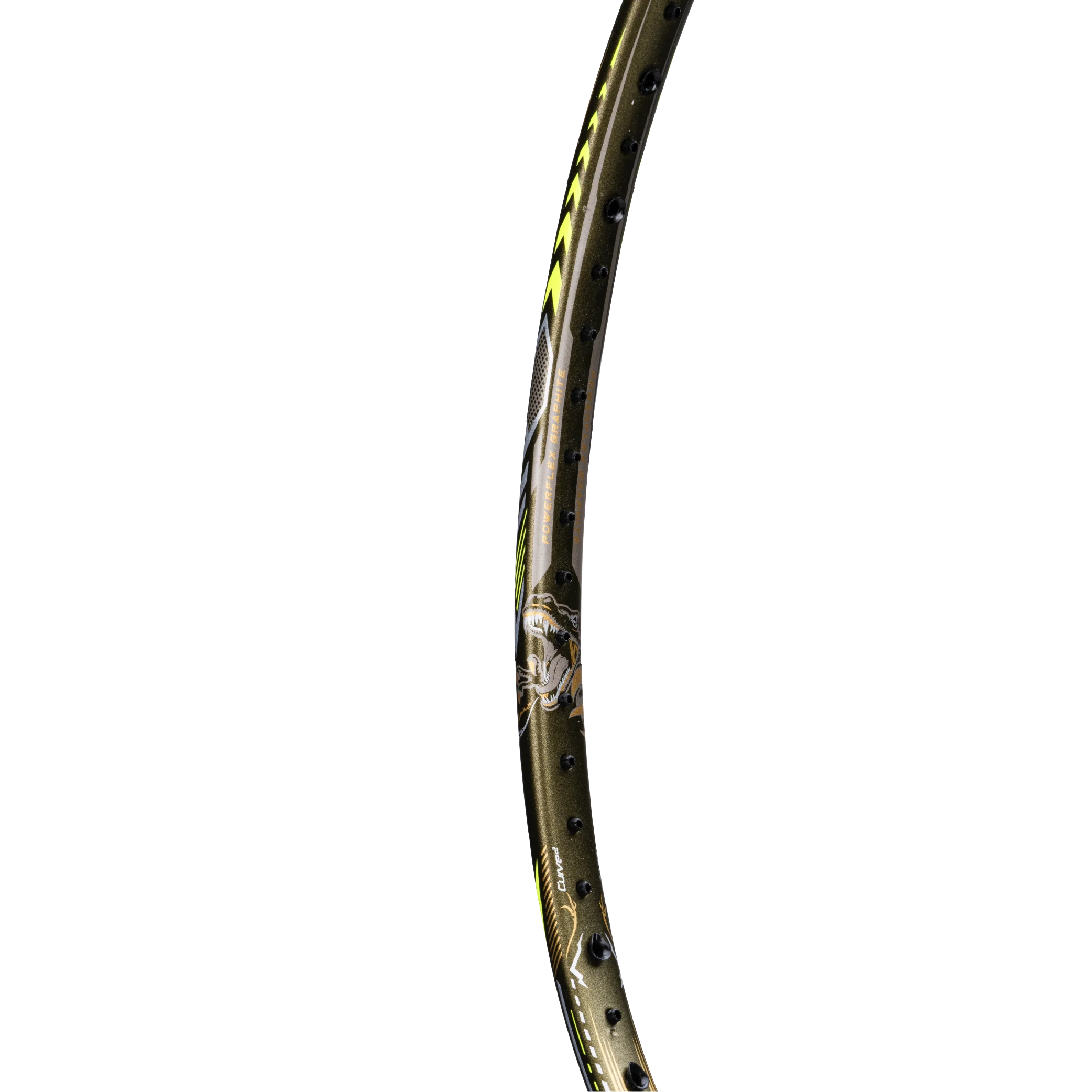 T-Rex 800 - Image 31