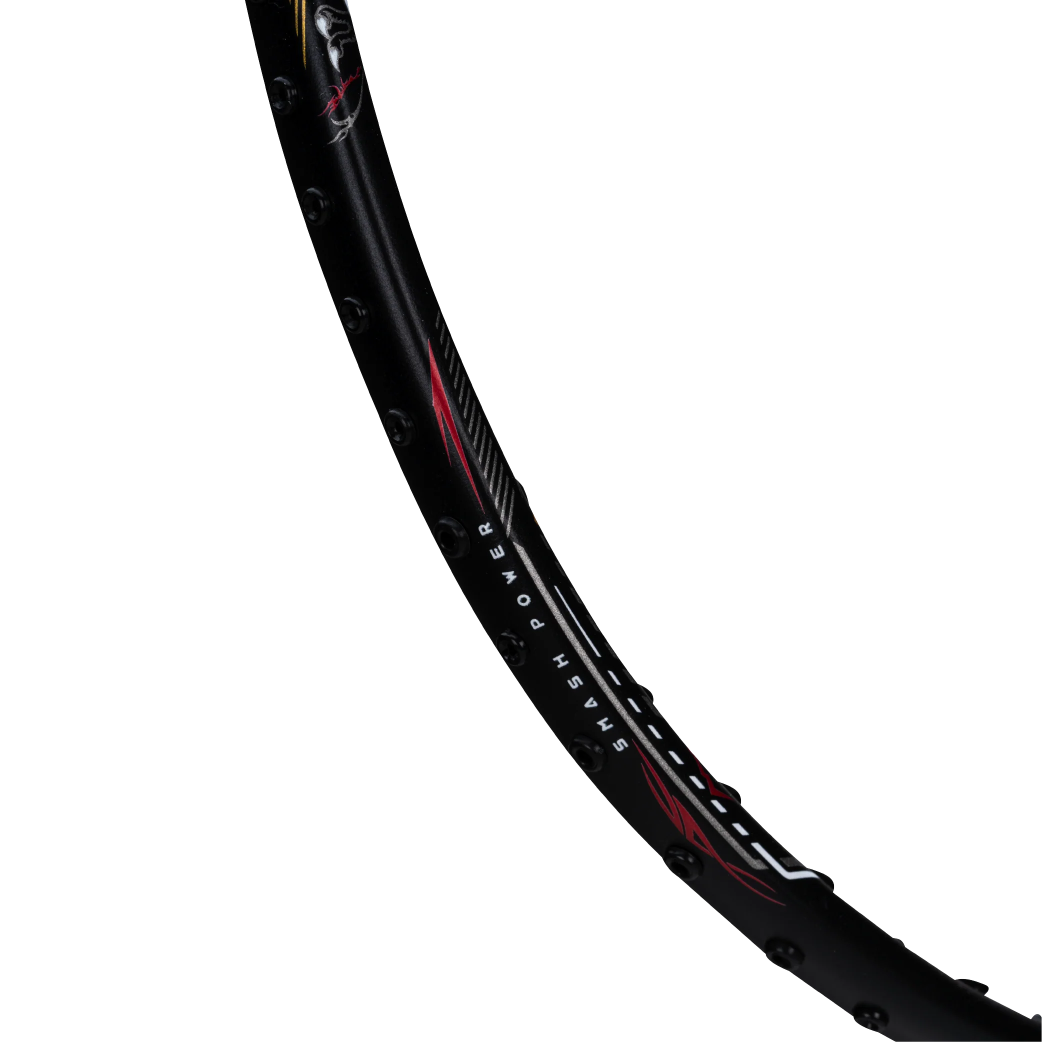 T-Rex 800 - Image 7